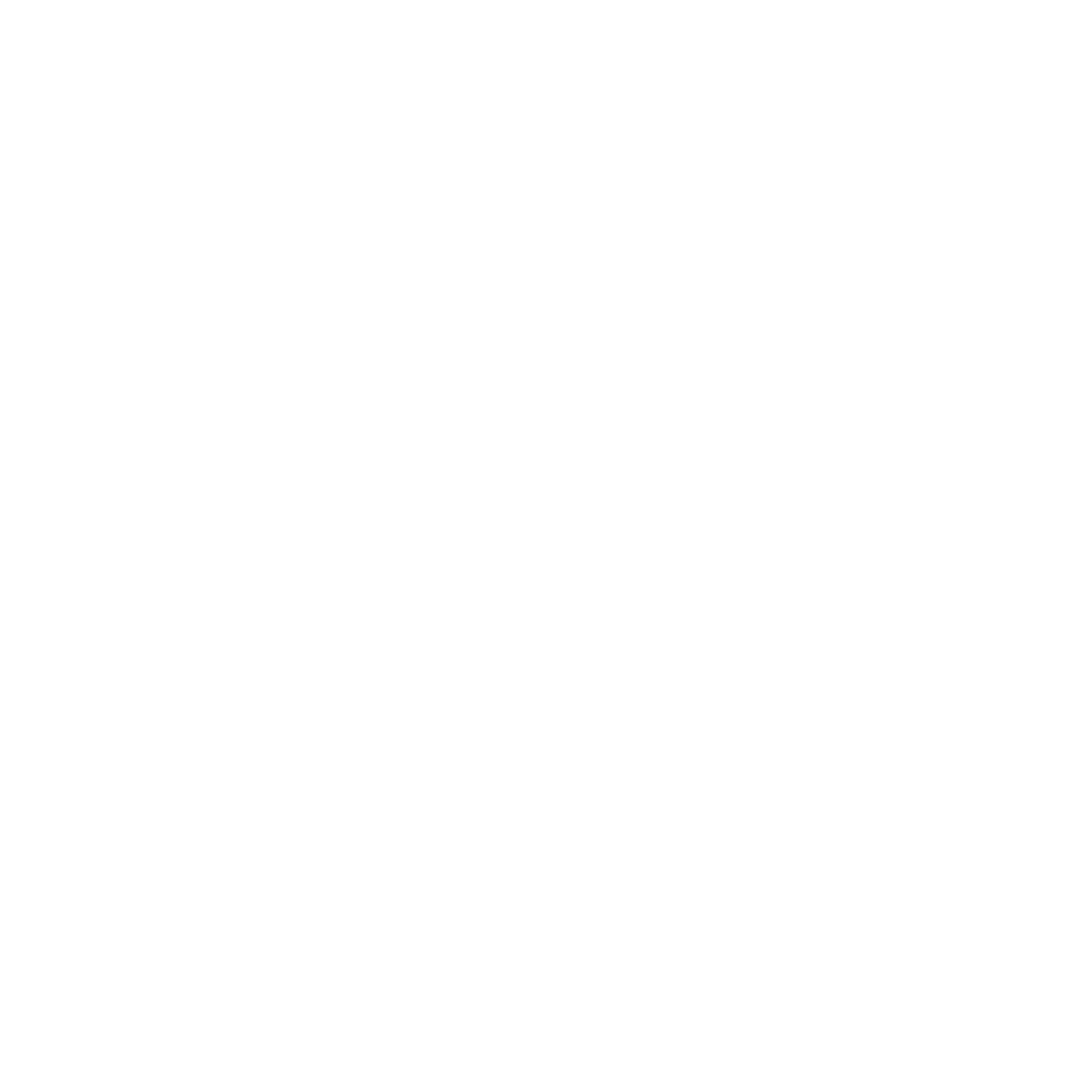 Fly Marine